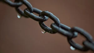 Backlinks: How to Audit, Qualify, and Build Website Backlinks That Help SEO