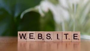 Website Backlinks: What They Are, How to Check Them, and What to Fix